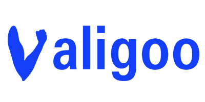 1532917827740088.jpg valigoo LOGO.jpg